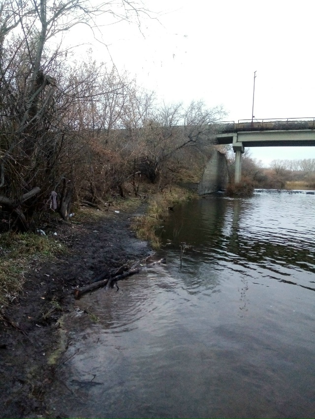 Немного позитива в ленту.На снимках,октябрь 2025 года,на ...