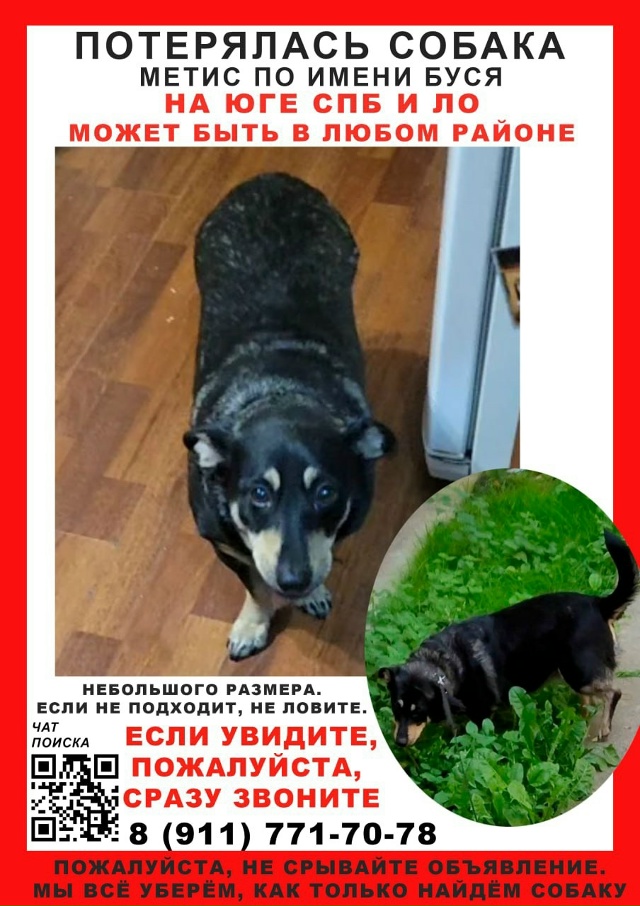 ❗️Юг СПБ и ЛО. Может быть в любом районе!
В конце июля ?...