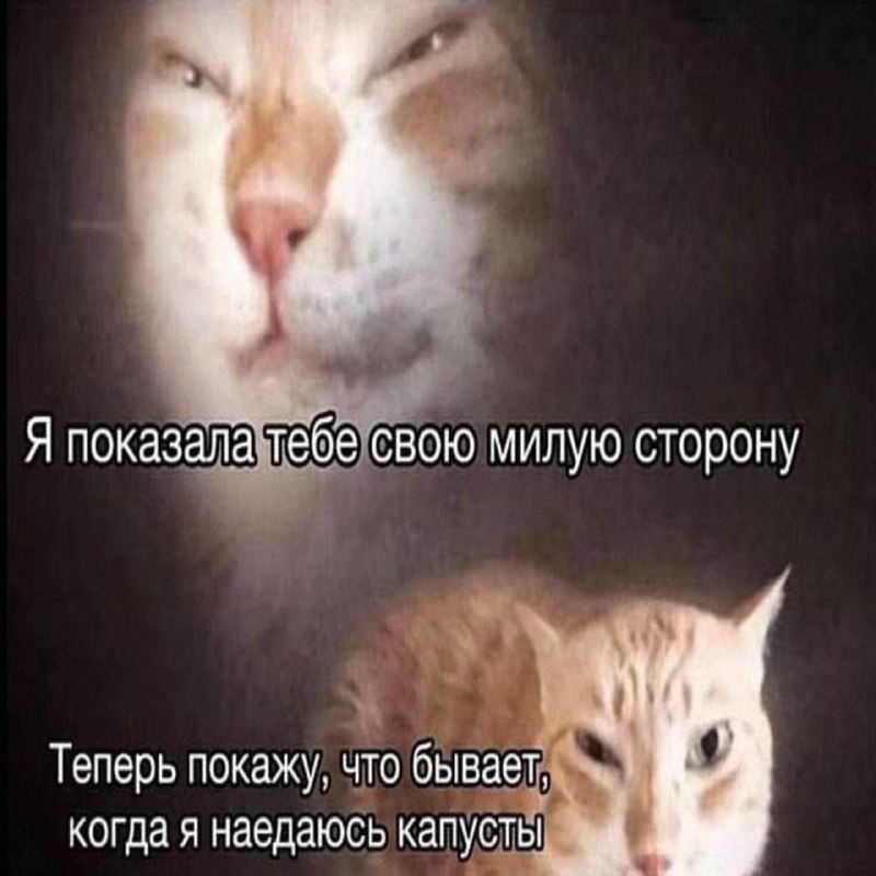 Утренняя подборочка
