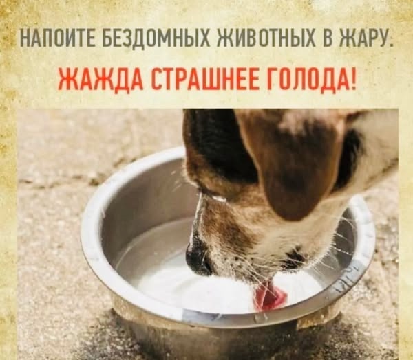 Очень жарко!!!