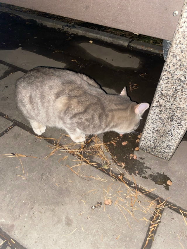 Кто потерял, находится на аллее дк
Анонимно