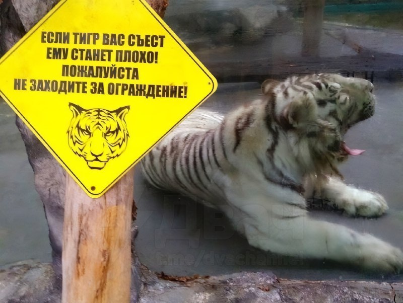 Так уж и быть, уговорили