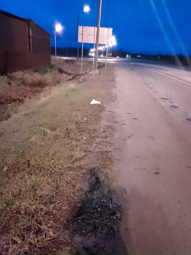 Ехал на велосипеде и нашёл. Хозяева пишите в личку.