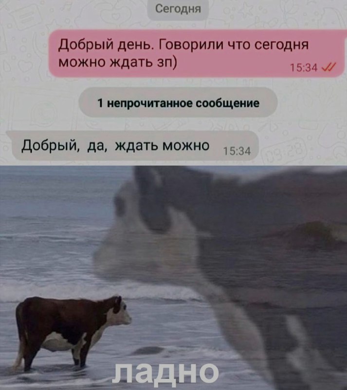 Ночная подборочка
Спать, режим