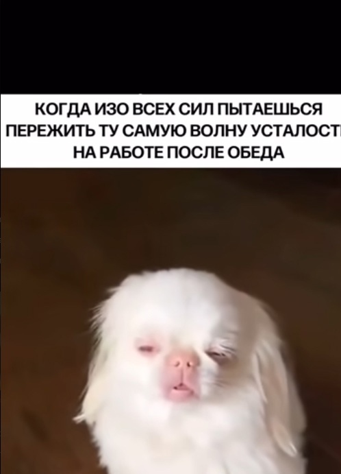Вот и я 😁
