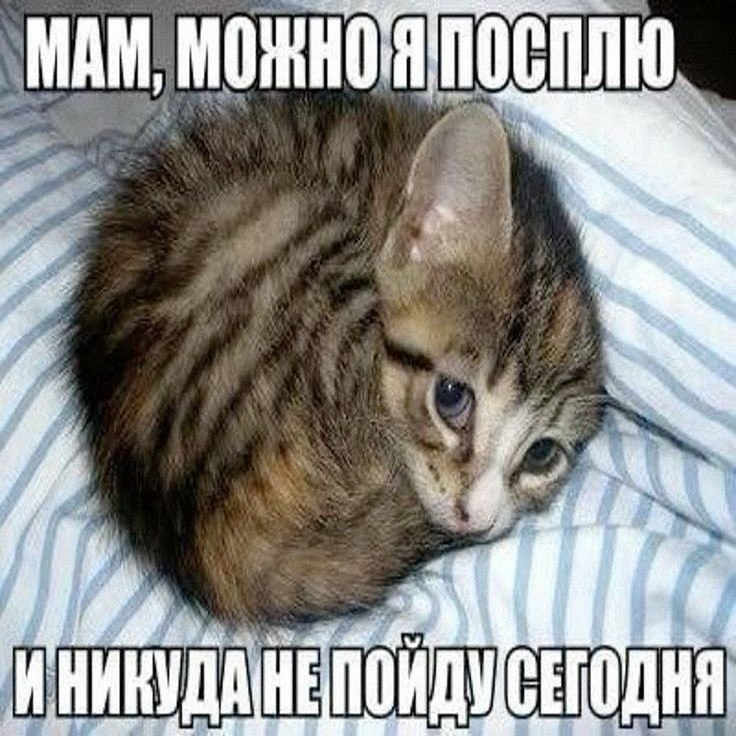 Утренняя подборочка