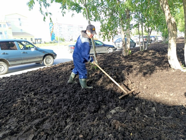 Друзья.
Газоны – не тропинки. Трава – не коврик у квар?...