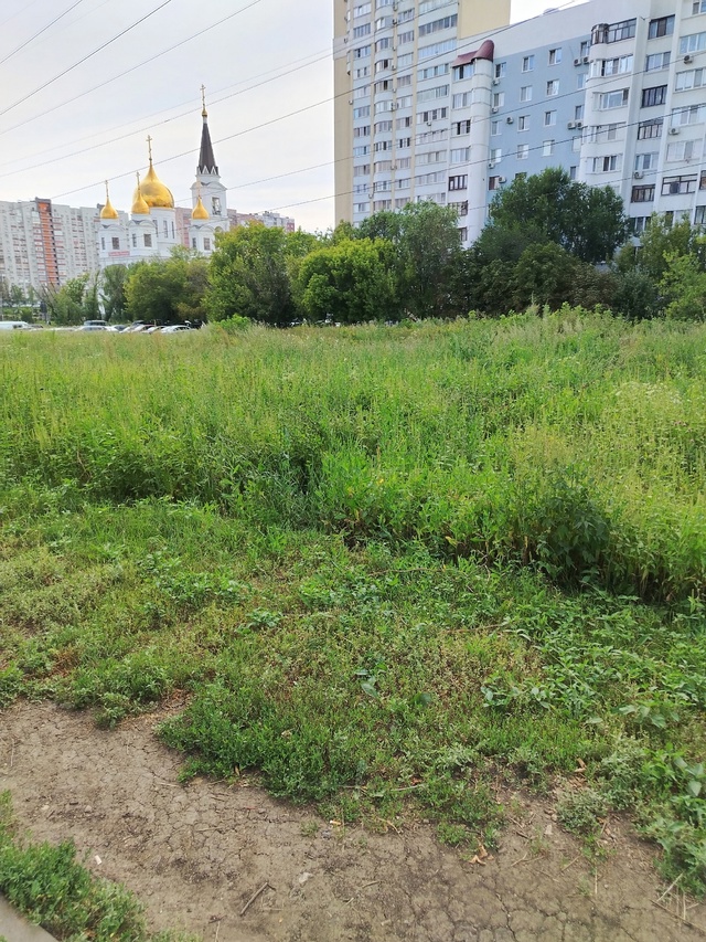 Хотелось бы задать вопрос всем службам города: в этом г...