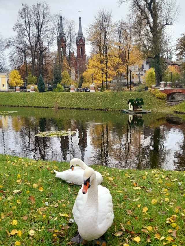 Осень в Карякинском саду ❤️
📷 Елена Михайлова
