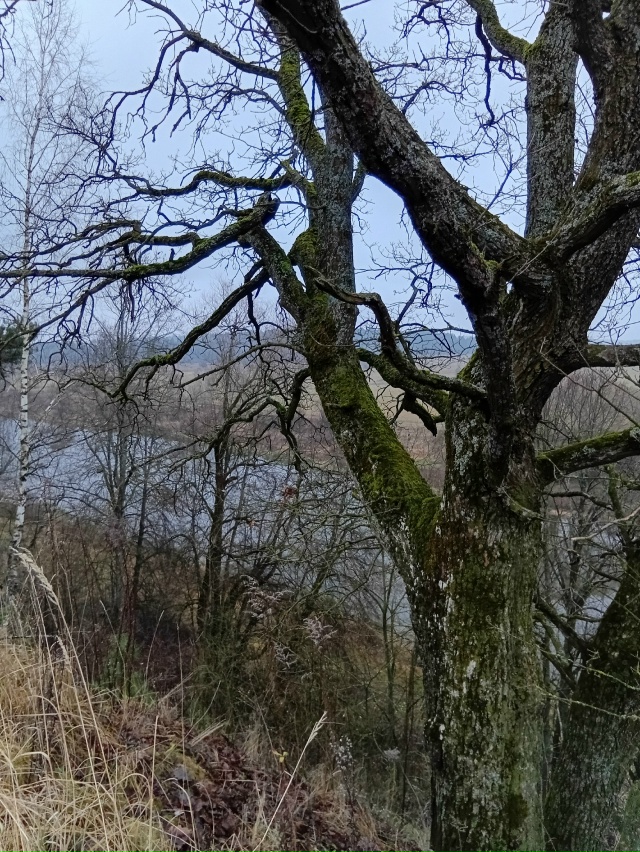 Рузский край...