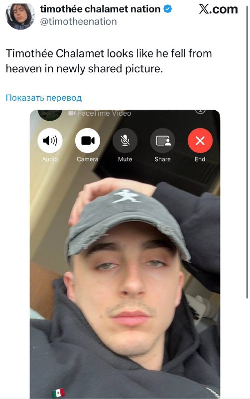 Смеюсь: Тимоти Шаламе стал мемом, после того как выложил фотку в стиле Slavic core.
Тот самый паре