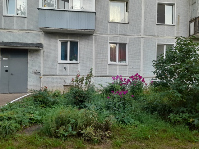 Прекрасный вечерний вид для глаз!!!⚘️🌼🌸🌷