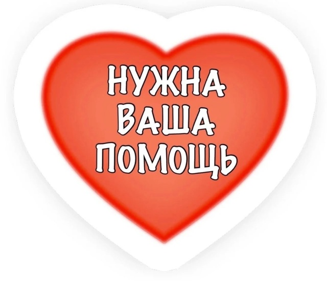 ❗Кировск, Лен. Обл. ❗
➡️Новенькие котята с ул. Пионерс...