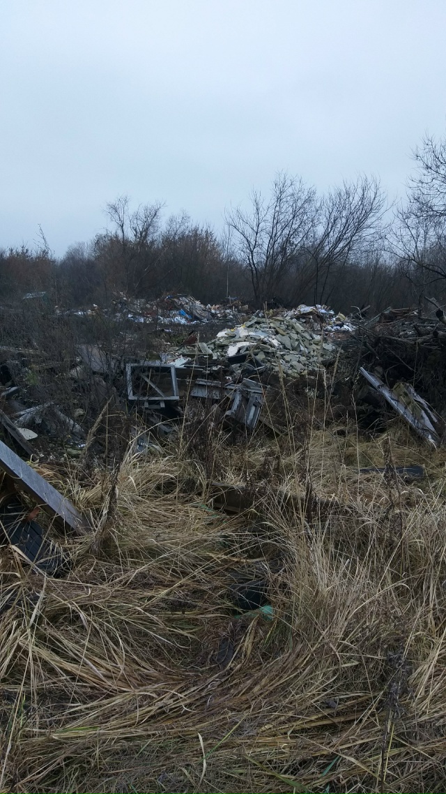 Вот такая вот картина недалеко от городских очистных, ?...