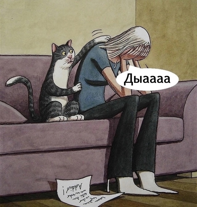 Мудрый котик)