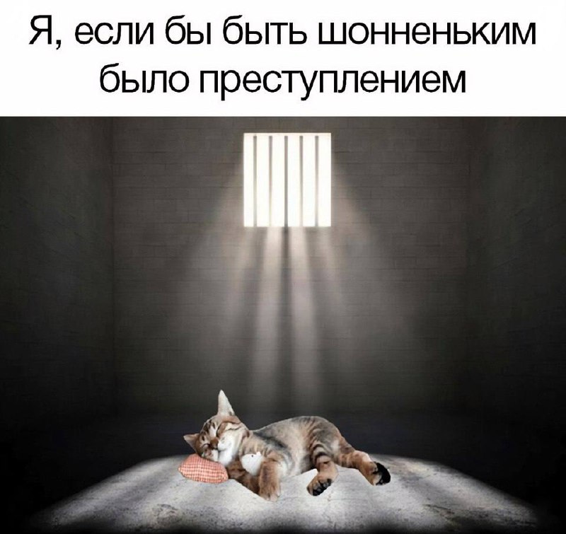 Утренняя подборочка