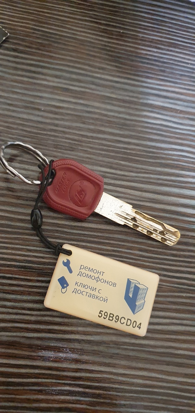 Чья потеряшка? Найден в 6м мкрн.