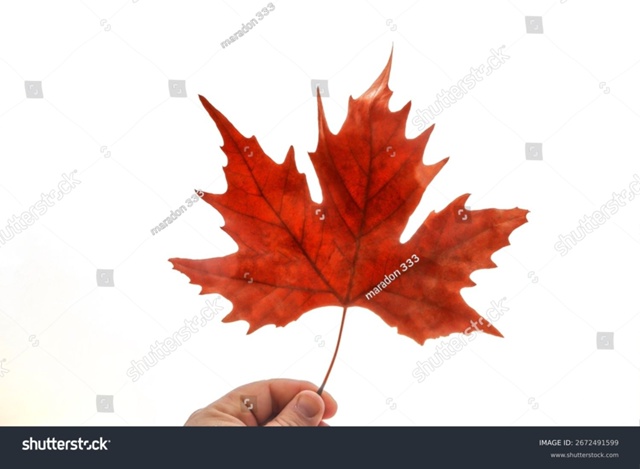 Воскресенская осень _____________-
Охапкой бросил ветер лист...