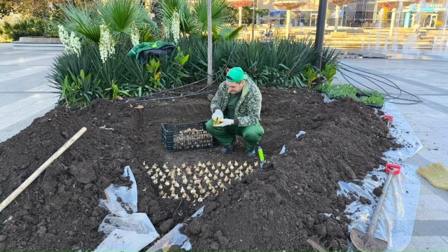Площадь Советская станет одной из самых ярких и зелёны...