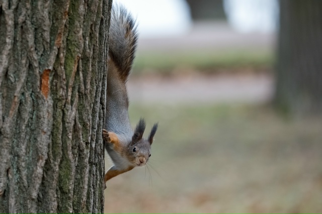 Придумайте подпись к фото. Ваши варианты ждем в коммен?...