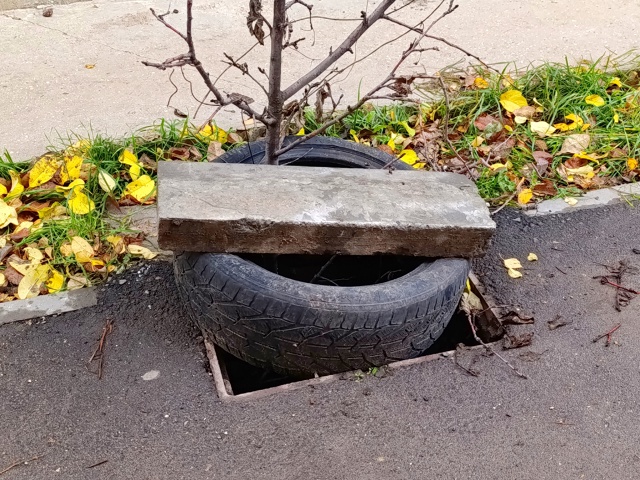 ДОСы Вольска: Опасность под ногами, свалки на подходе. ?...