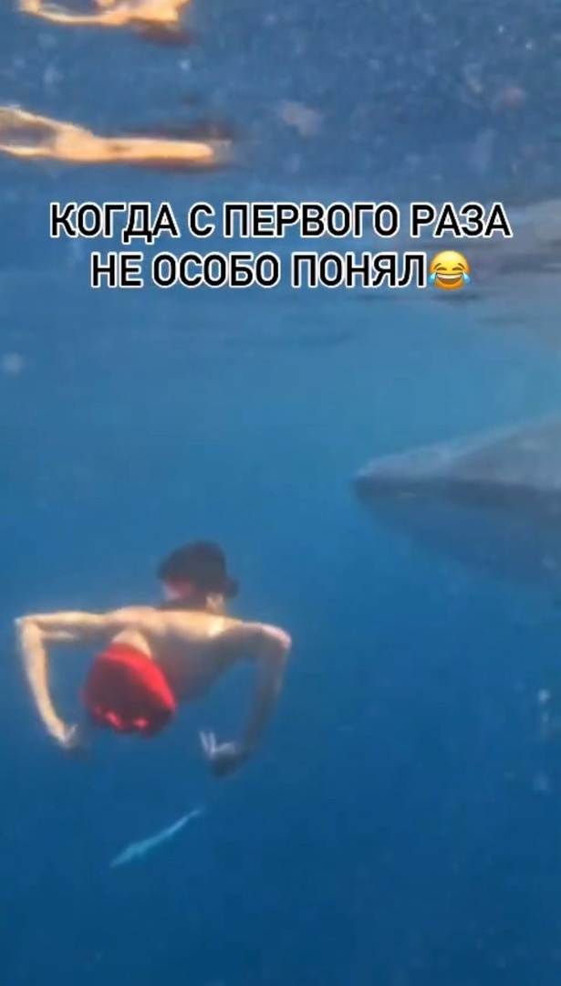 жизнь не учит
