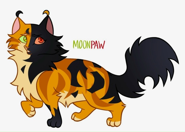 Утречко и Лунолапка
© purkelcat
#KV_ZZ_ART