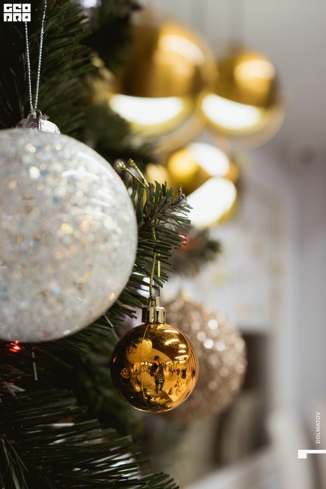 18+
Новый год-2026 на Южном берегу — ваш выбор, ваш праздни...