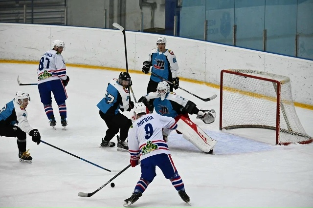 В матче SHL ХК 