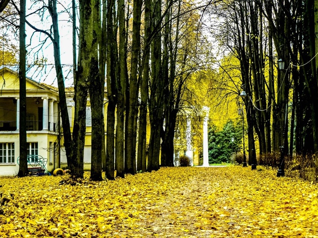 Суханово прекрасно всегда, но сейчас особенно!🍂