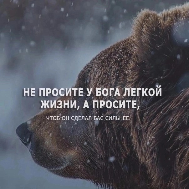 Вот так просите
Пересылайте посты близким, ставьте р?...