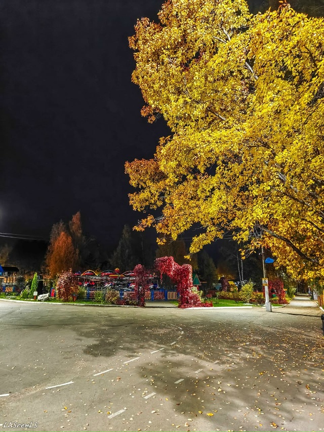 Октябрьский парк культуры и отдыха.
Фото: Юрий Жарков