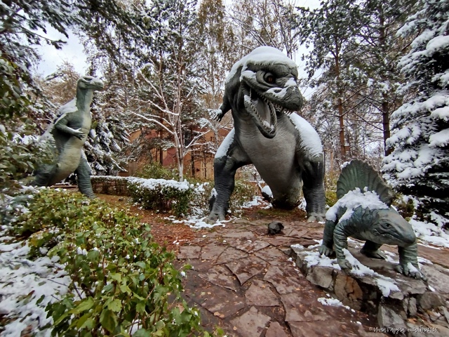 🦕 Динoзaвpики в зacнeжeннoм зooпapкe
Φoтo: Ингa Рaдугa