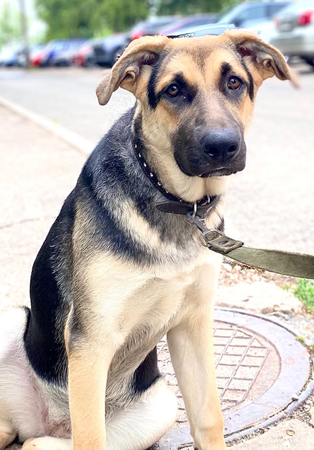 Она правда классная!
Но так никем пока и не замечена.
#М?...