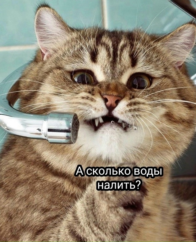 Когда съехал от родителей