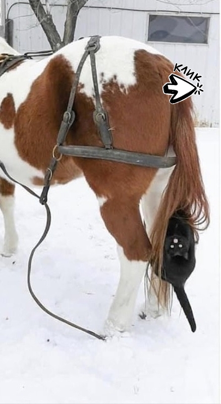 Когда еще не израсходовал ни одной жизни из 9😂😂😂