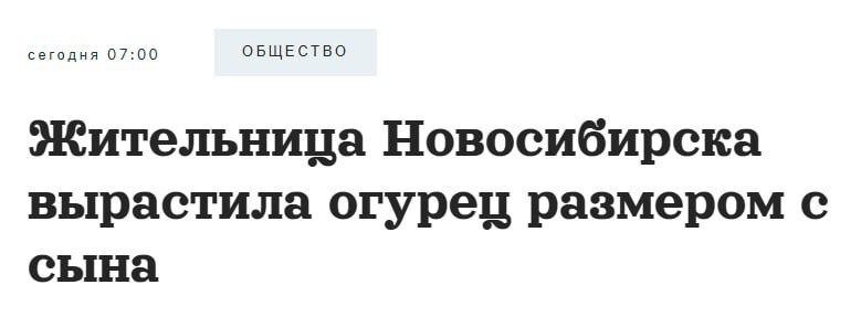 А теперь к новостям из огорода.