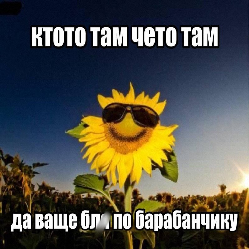 Утренняя подборочка