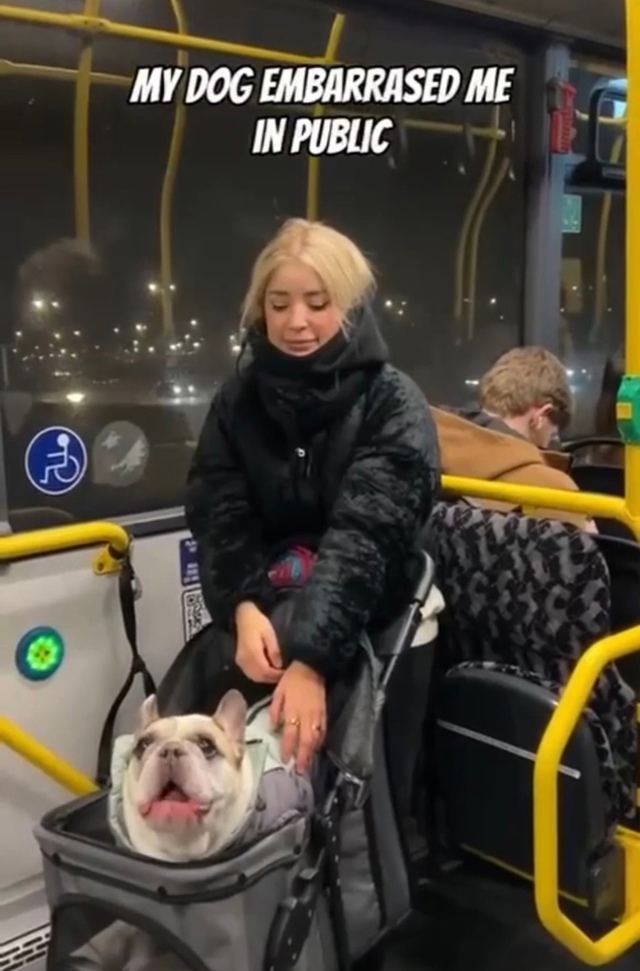 А на каком это языке разговаривает собака!