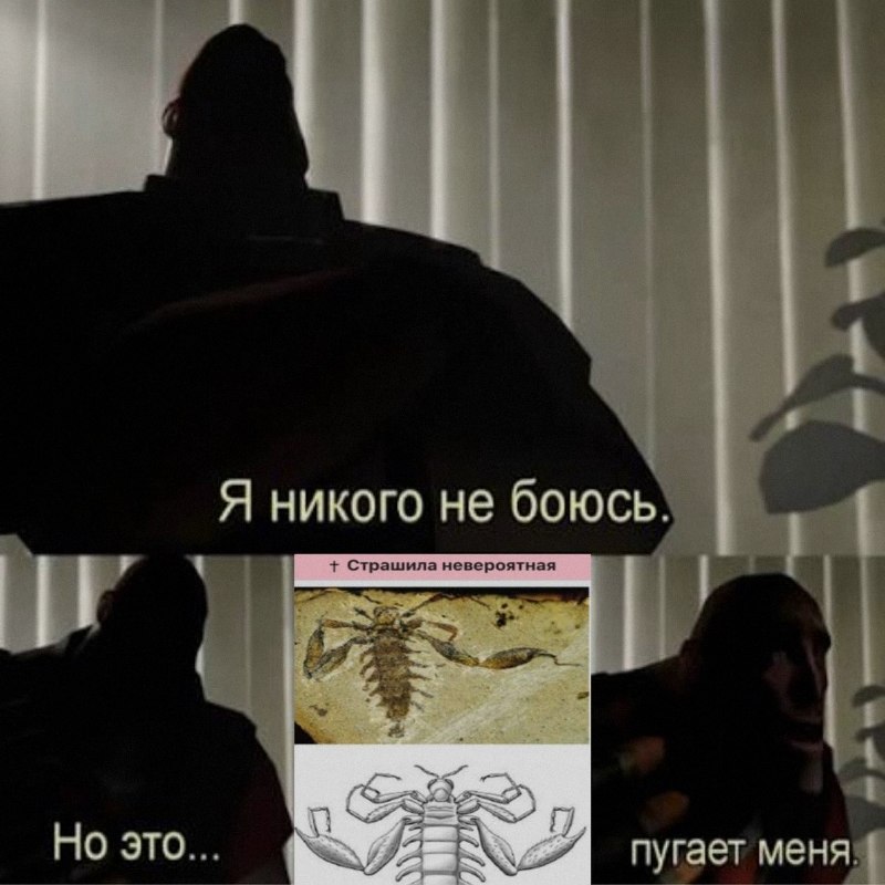 Ночная подборочка
Выходные, не спим