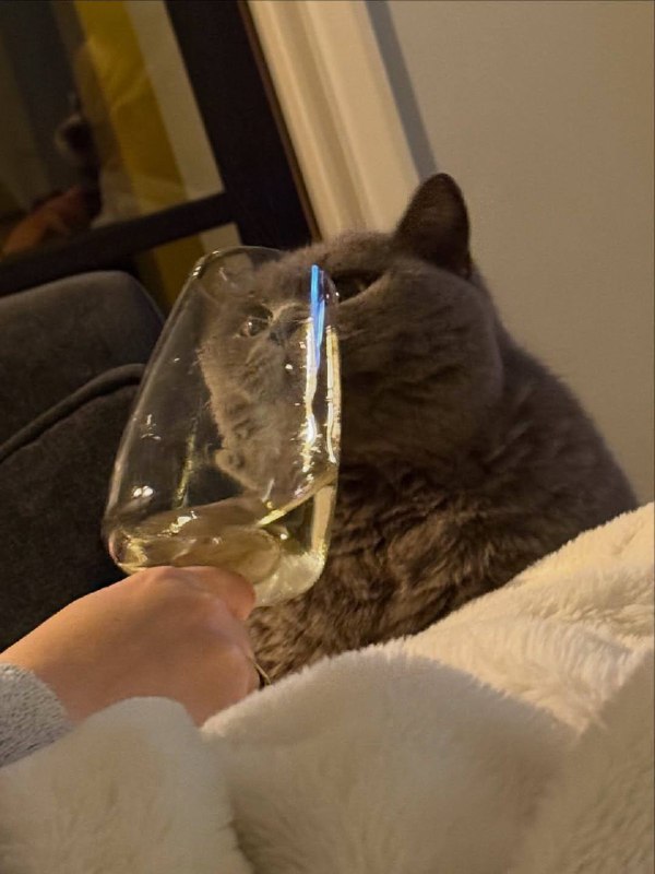 Оо пьятничька