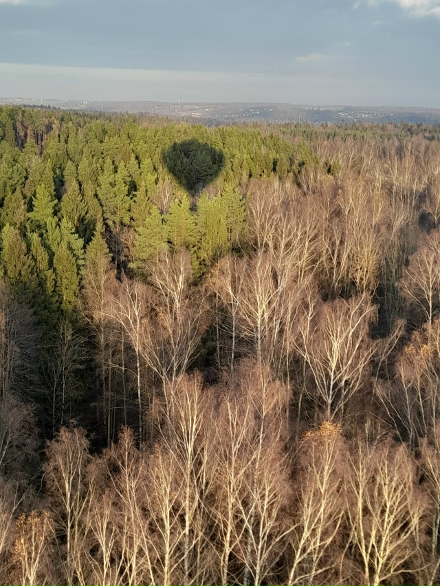 Ноябрь,вполне лётный месяц...