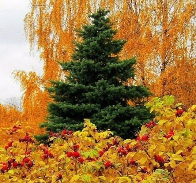 Красота на чусовском водозаборе