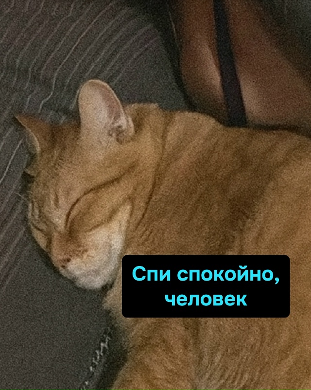 Утренний будильник был устранён. Миссия выполнена. Спи...