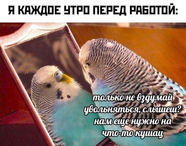 Просыпаемся, собираемся на работку