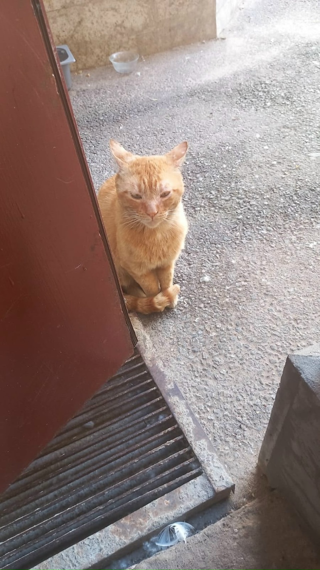 Уважаемые жители Кронштадта! Около месяца назад потер?...