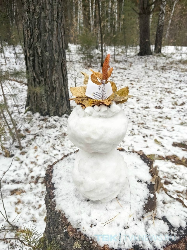☃️Парад снеговиков .
В эти дни снег такой липкий, поэ?...