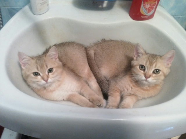 Утренние процедуры