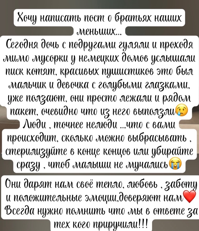Котят взяла семья на передержку, огромное человеческо?...