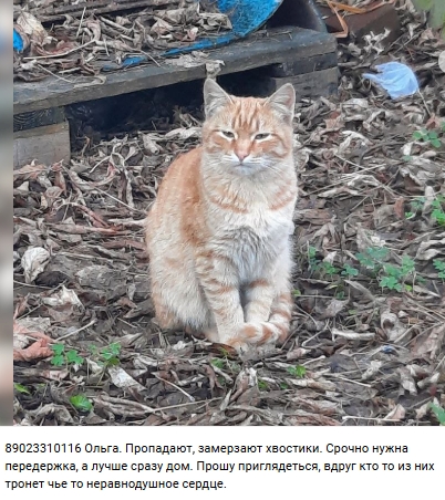 Пост добра. Распространите, пожалуйста.